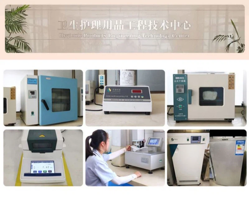 Comapny213 Comapny213